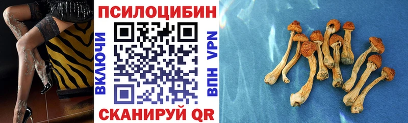 Псилоцибиновые грибы прущие грибы  купить наркотики сайты  Жуковка 